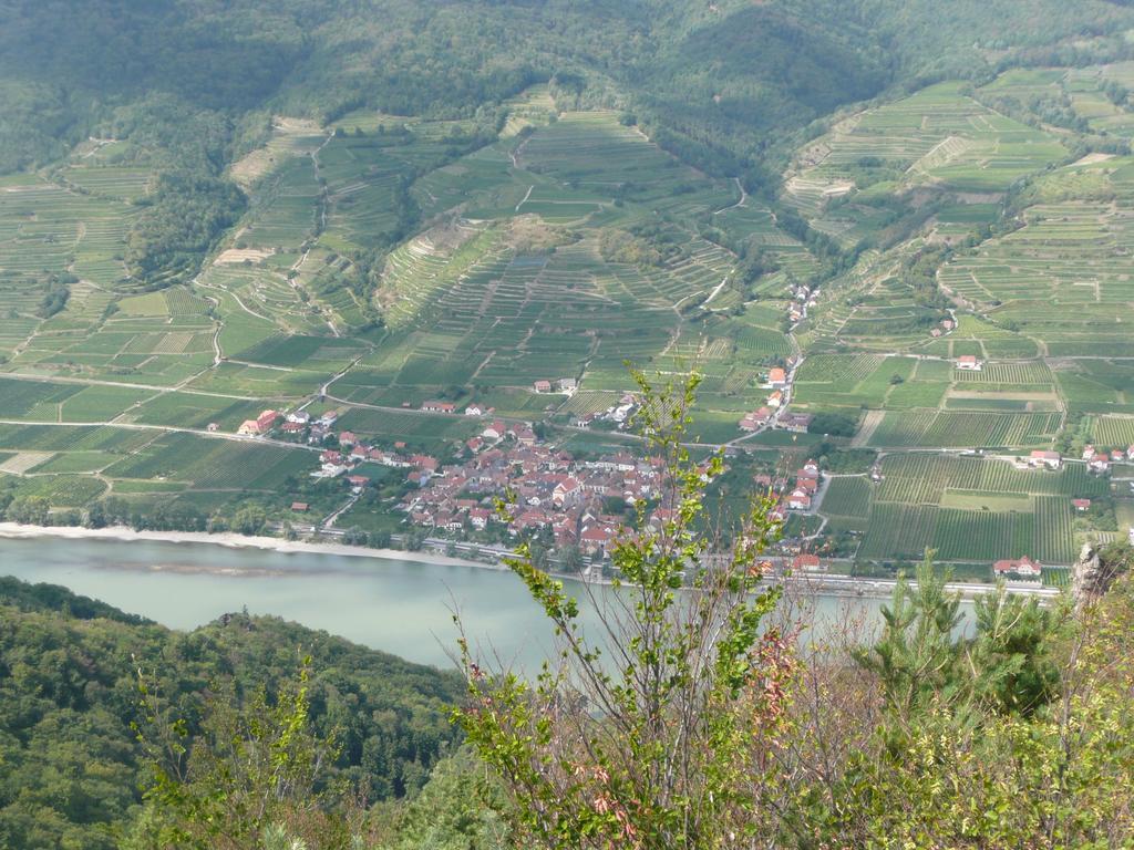 Weingut Langmayer Wösendorf Zewnętrze zdjęcie