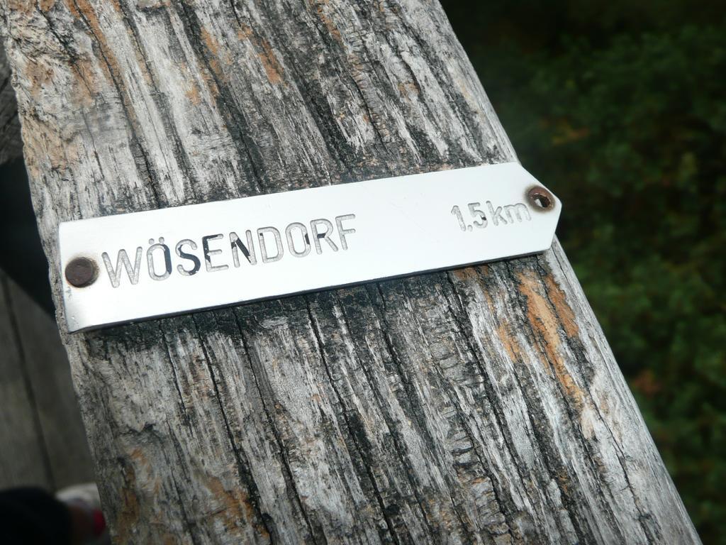 Weingut Langmayer Wösendorf Zewnętrze zdjęcie