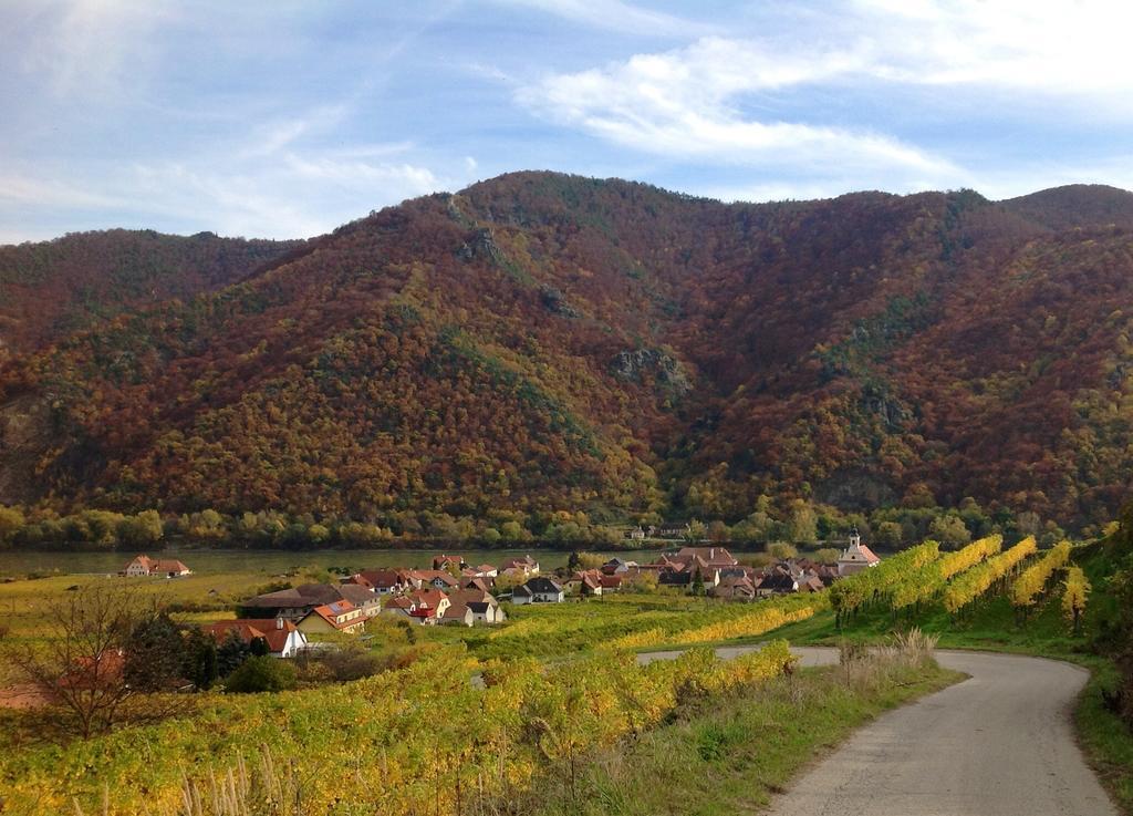 Weingut Langmayer Wösendorf Zewnętrze zdjęcie