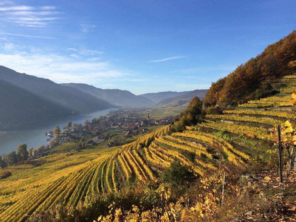 Weingut Langmayer Wösendorf Zewnętrze zdjęcie