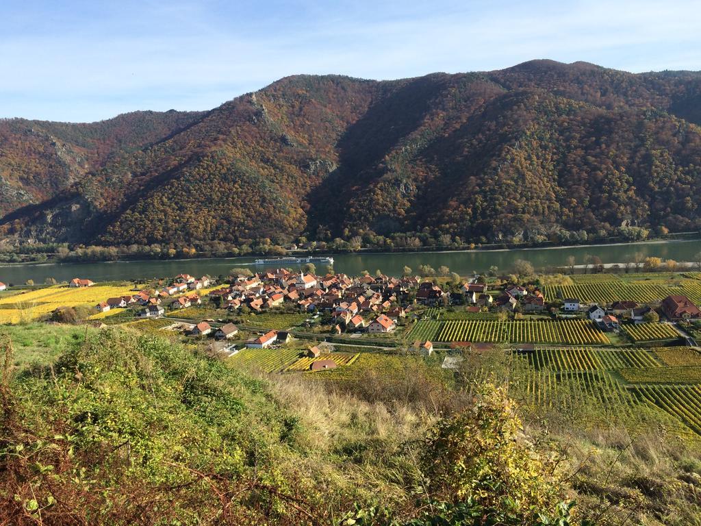 Weingut Langmayer Wösendorf Zewnętrze zdjęcie